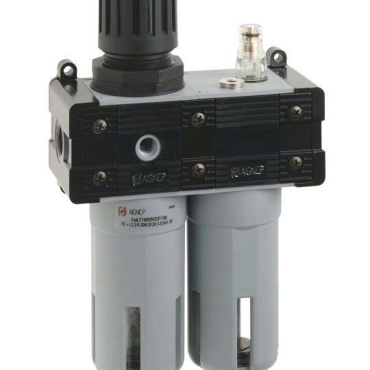 FR+L 1 1/4 20 Micron 0-12 Bar S.M.